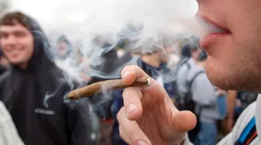 Marihuana en jóvenes: advierten que puede bajar 8 puntos el coeficiente intelectual