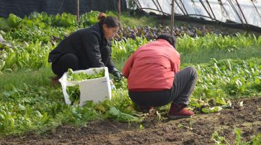 Producción periurbanos: las provincias avanzan con tecnología para evitar conflictos