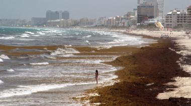 El turismo del Caribe crece mientras el sargazo encarece la defensa de las playas