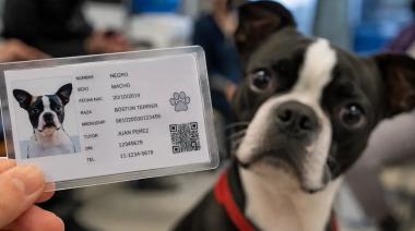 Qué ciudad exige DNI obligatorio para mascotas: cómo es y de cuánto es la multa