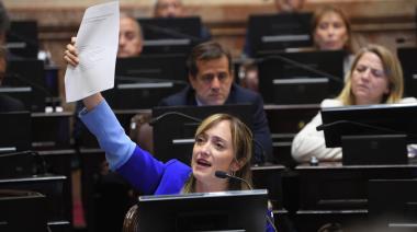 Qué cambia en el Senado con la propuesta de Fernández Sagasti para votar de forma remota