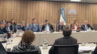 Tierras raras en Argentina: la ley que podría abrir una nueva industria