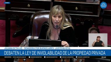Di Tullio interrumpió al Senado por la represión: qué advirtió a Milei