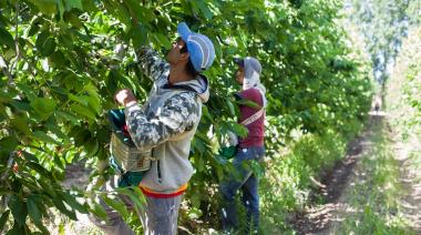 UATRE pidió prorrogar el régimen que permite trabajar y mantener planes sociales