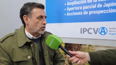 La carne vacuna no repunta: por qué el consumo en Argentina sigue estancado