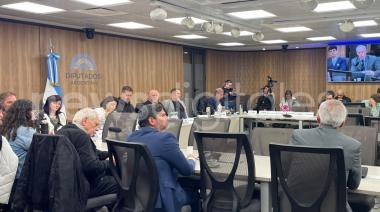 Peter Thiel, Milei, tierras y el negocio de la IA: las preguntas que llegan al Congreso