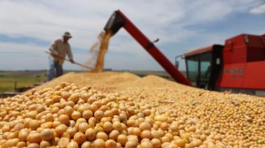 Retenciones: cuánto aportarán las cadenas de soja, maíz y trigo al fisco en 2026