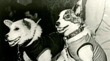 Belka y Strelka: el vuelo que cambió la exploración espacial soviética