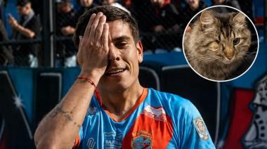 Por qué un jugador de Arsenal de Sarandí le dedicó un gol a un gato muerto y tuerto