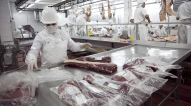 Carne vacuna: cuál es la realidad detrás del “boom” de los frigoríficos exportadores