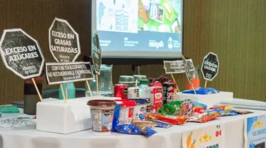 Capacitan en Alimentación Saludable a docentes de Educación Física