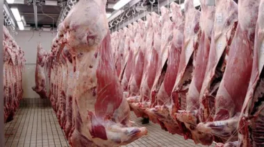 Carne argentina: la oportunidad que abre el cierre de Brasil en Europa