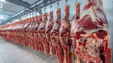 La carne vacuna baja en el mundo mientras suben el pollo y el cerdo