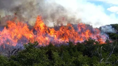 El humo de incendios amenaza los avances en calidad del aire a miles de kilómetros