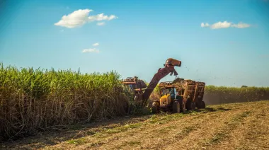 El azúcar subió 11,9% en un mes: Brasil, India y El Niño tensan el mercado