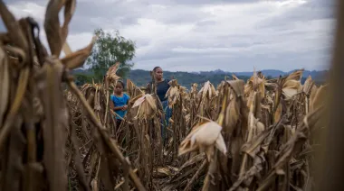 Guatemala mantiene alerta naranja por sequía y acelera la ayuda alimentaria