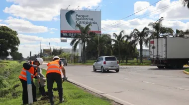 Campana se prepara para una nueva ola industrial: empresas compraron 2.000 hectáreas