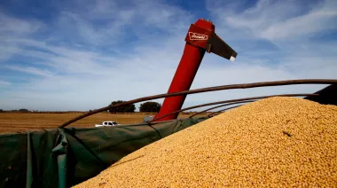 Impuestos: el Estado se queda con $58 de cada $100 que genera el campo