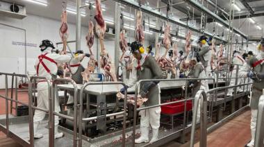 Veto a Brasil: qué oportunidad se abre para la carne vacuna argentina en Europa