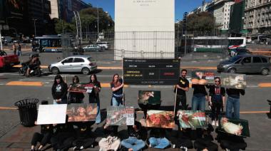 LATAM quedó en el centro de un reclamo por el uso de huevos de gallinas enjauladas