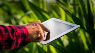 Apuntes sobre la actividad agropecuaria en la era de la información inteligente