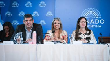El Senado retoma una reforma clave y pone el foco en las internaciones involuntarias