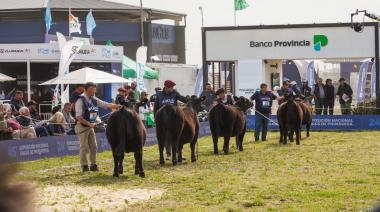 Cuenta regresiva para la Semana Angus: todo lo que tenés que saber