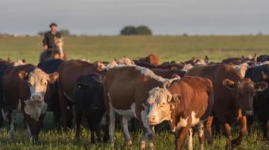 CARTEZ reclamó eliminar las tasas municipales que pagan los productores ganaderos