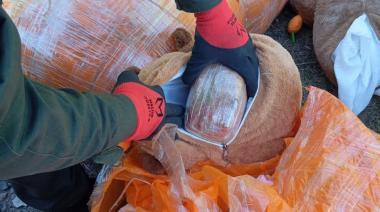 Qué se sabe del operativo antidroga que terminó con 54 kilos ocultos en peluches de carpinchos