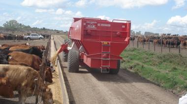 Carne vacuna: menos faena, más feedlots y una incógnita para los próximos meses