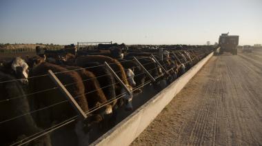 Alimentos para animales: el enorme potencial que detectó CAENA en Argentina
