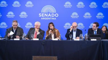 Ley de Biocombustibles: Idígoras respaldó el dictamen y CEPREB lo rechazó