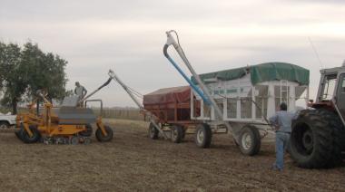 Cuánto cuesta sembrar: el ranking de inversión por cultivo según la BCR