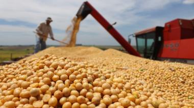 Récord para el agro: proyectan exportaciones de granos por USD 42.200 millones