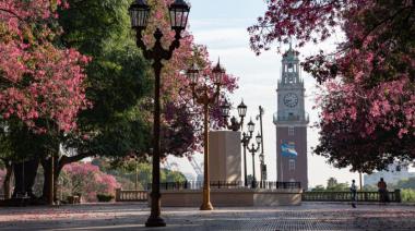 Equinoccio de primavera: a qué hora empieza y qué cambia desde hoy en Argentina