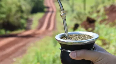 ¿Otro escándalo como el del INTA? El Gobierno empuja un polémico nombramiento en Misiones