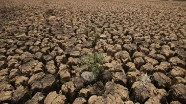 Brasil: la sequía severa o extrema ya alcanza a 276 municipios