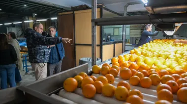 Cítricos a EE.UU.: la promesa que lleva más de 15 años esperando luz verde de Washington