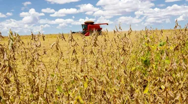 Uruguay exportó USD 1.398 millones en septiembre, pero el acumulado crece apenas 1%