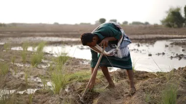 Yemen recibirá €10 millones para impulsar agricultura, empleo y gestión del agua