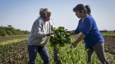 Día de la Mujer Rural: por qué se celebra el 15 de octubre en Argentina y el mundo