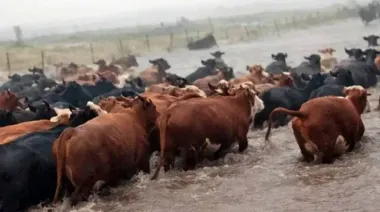 Tragedia en Santa Fe: murió un trabajador mientras sacaba hacienda de las inundaciones
