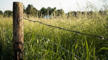 Diputados vota el proyecto de vandalismo rural: de qué se trata y por qué genera debate