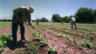Sin retenciones, el agro podría generar más de 800.000 empleos en diez años