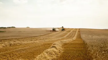 La UE negocia más cultivos proteicos para reducir las importaciones de soja