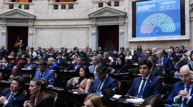 Hasta 10 años de cárcel por romper silobolsas: Media sanción a la ley de vandalismo rural