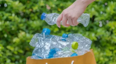 Multas de hasta $577.000.000: la crisis de los envases y 2 alternativas en el Senado