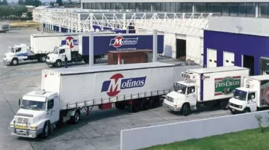 Molinos va por Ayudín: qué marcas sumará la dueña de Lucchetti y Matarazzo