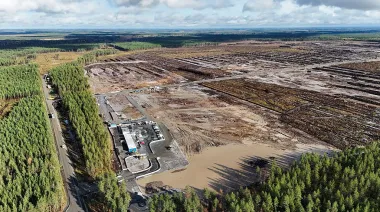 Google, bajo investigación penal en Finlandia por la tala de 330 hectáreas
