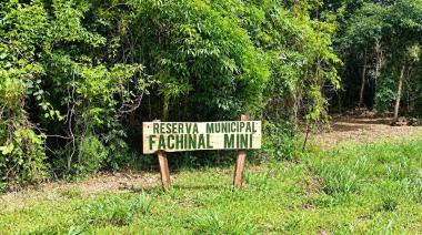 Nueva reserva natural en Misiones: la insólita multa que arriesga quien la dañe